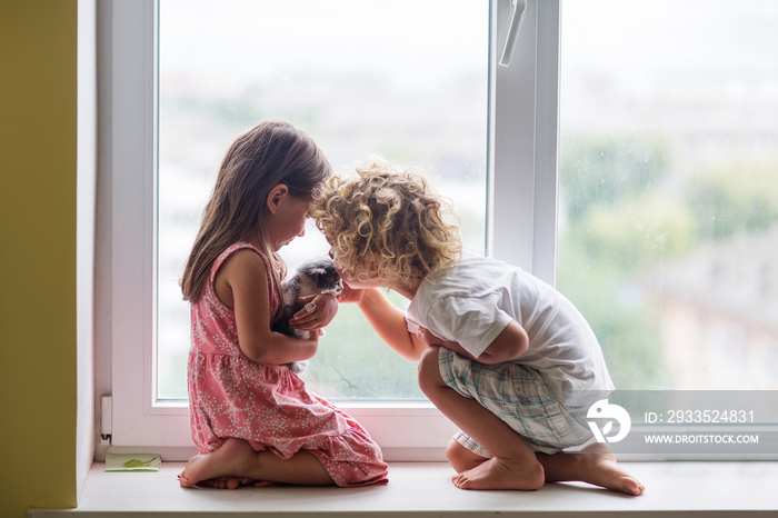 Brother and sister play with a cat