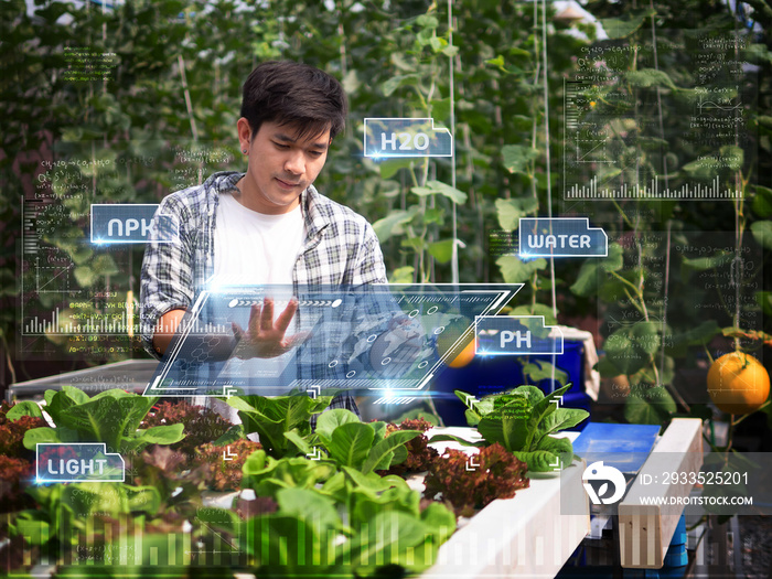 young smart Asia Farmer using Ar,Vr,3d projection glass Technology at his smart farm.