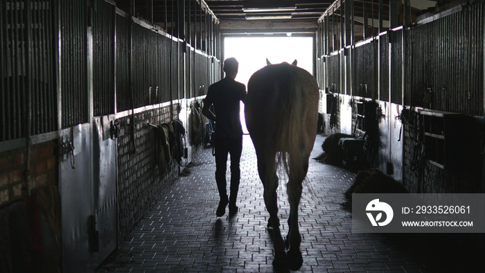 Young jockey walking with a horse out of a stable. Man leading equine out of barn. Male silhouette with stallion. Rear back view. Love for animal. Beautiful background