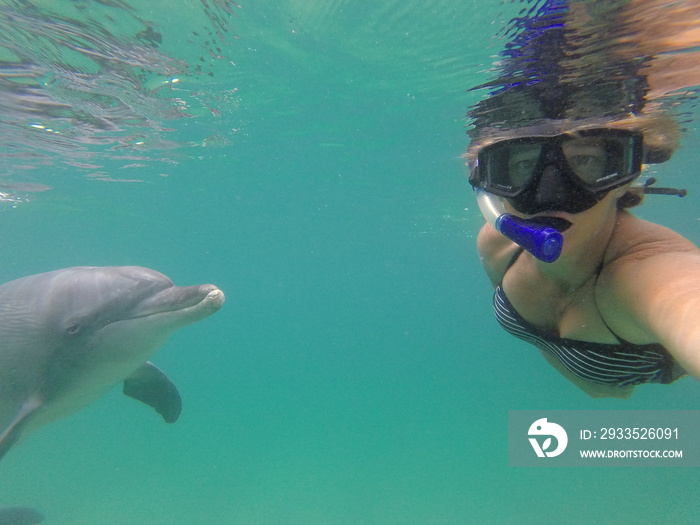 Snorkeling with dolphins