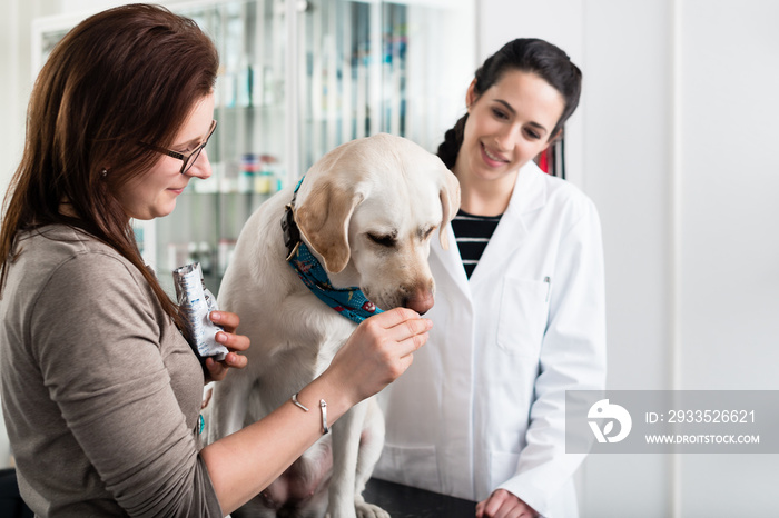 Close-up of a woman feeding dog