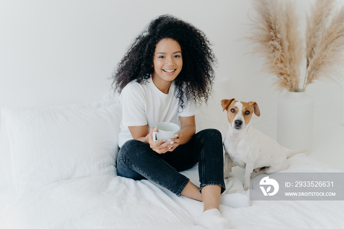 Relaxed attractive Afro American woman drinks aromatic hot drink from white mug, poses on bed together with jack russell terrier dog, enjoy domestic atmosphere, being in cozy bedroom at home