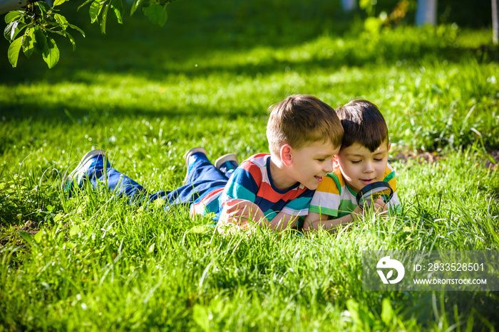 Beautiful happy children, boy brothers, exploring nature with magnifying glass, summertime