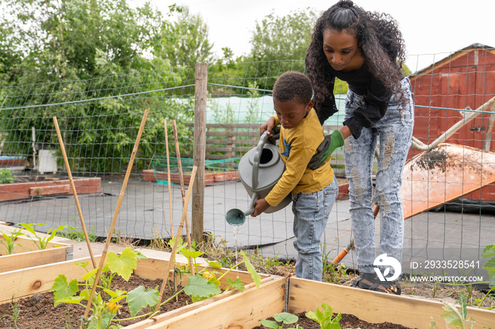 Mother and son watering plants in allotment