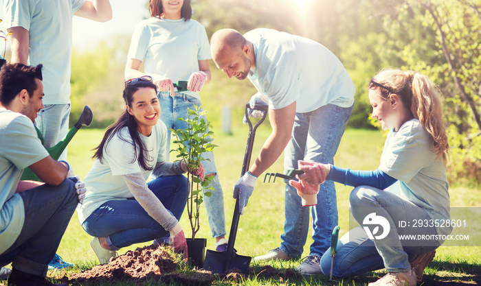 group of volunteers planting tree in park