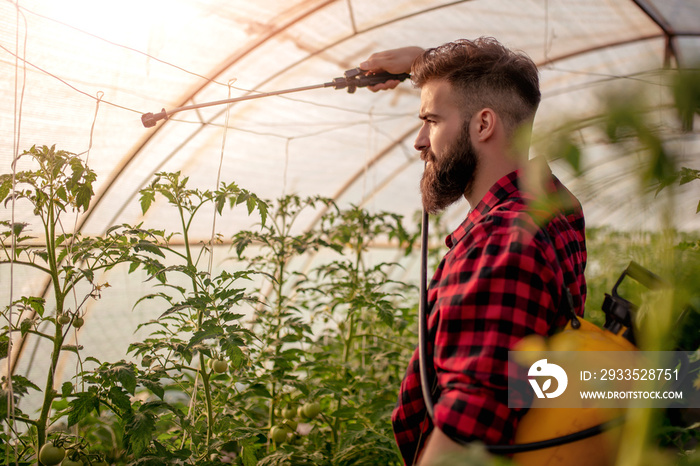 Young man in greenhouse spraying plants