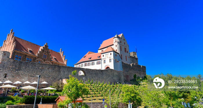 Burg Alzenau