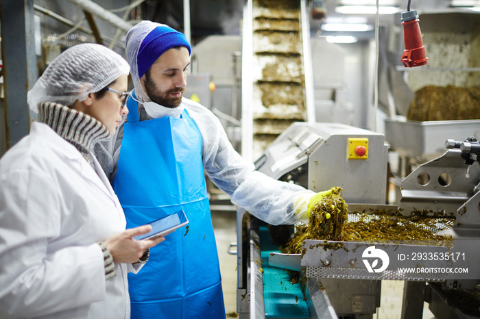 Young food control experts consulting while estimating quality of seaweed salad