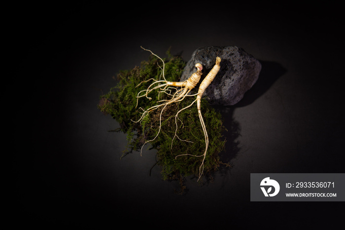 Wild Korean ginseng. Wild Ginseng has been used in best traditional medicine