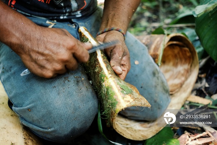 ticuna tribal member cleaning a tree bark for extracting the inner layer