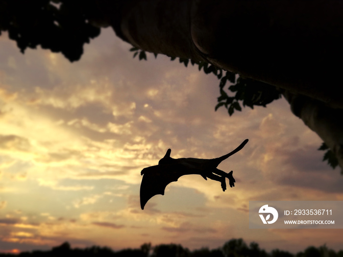 Majestic silhouette of a Pteranodon at nightfall. Carnivore with excellent flight and vision. Known as Flying Dinosaur is technically a prehistoric flying reptile from the Cretaceous period. Jurassic.