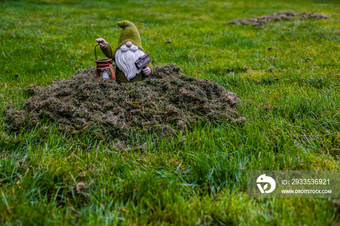 Lawn gnome holding lantern standing in pile of dead chopped up grass.