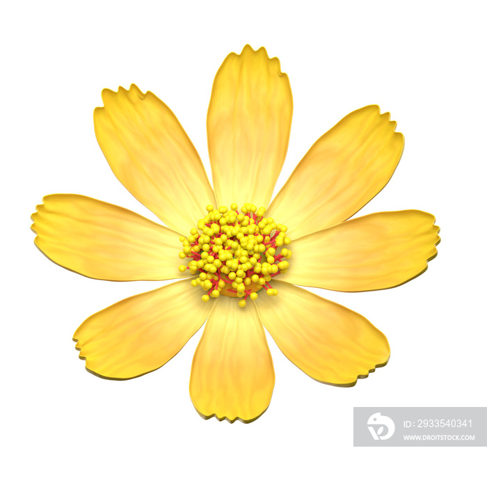 cosmos flower 3d illustration