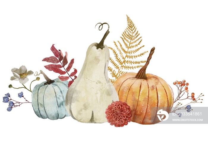 Autumn fall pumpkin. Watercolor pumpkin.