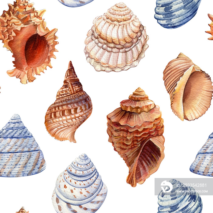 Seamless pattern with seashells. Watercolor hand drawn vintage sea background for wallpaper