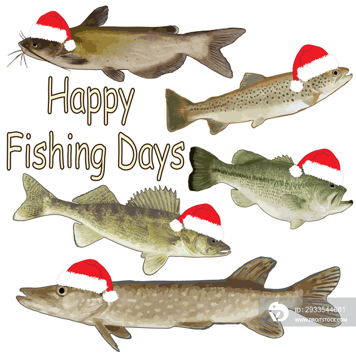 Wildlife holiday design, illustration, Christmas fish with Santa hats, catfish, trout, bass, walleye, northern pike. PNG File.