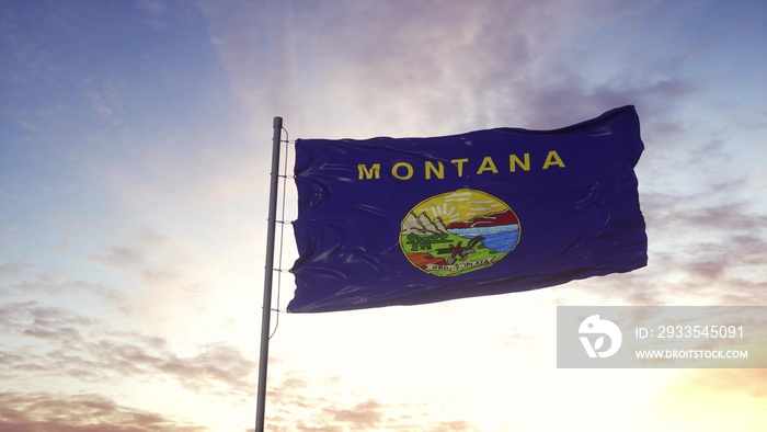 State flag of Montana waving in the wind. Dramatic sky background. 3d illustration