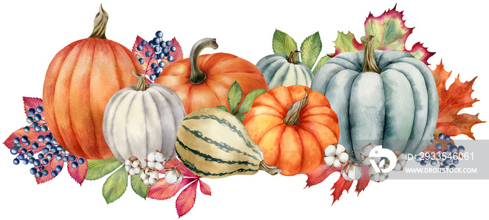 Watercolor illustration with pumpkins and leaves isolated on the white background.Hand painted watercolor clipart.