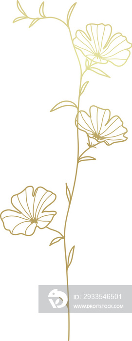 Botanical flower gold line art