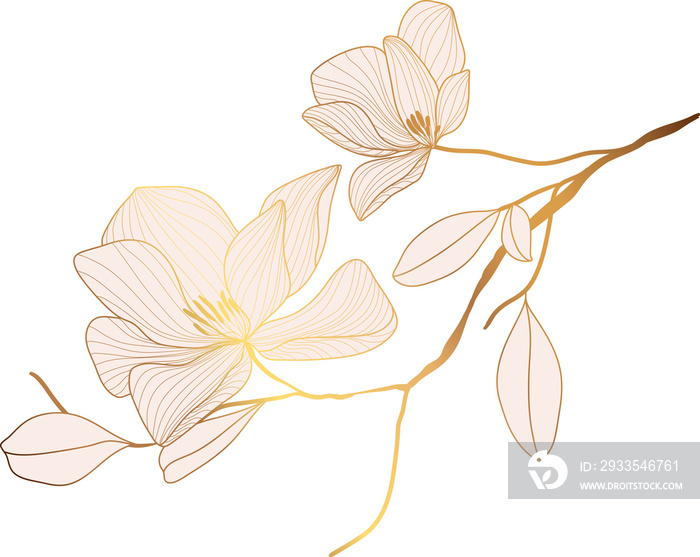 Magnolia flower leaf branch golden line art