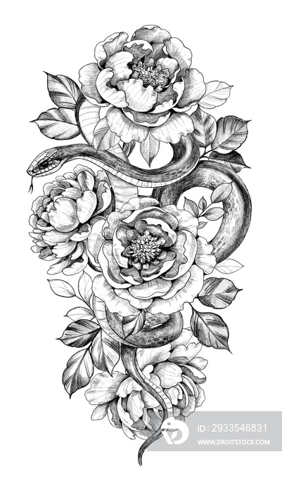 Hand Drawn Monochrome Snake and Peony Flowers