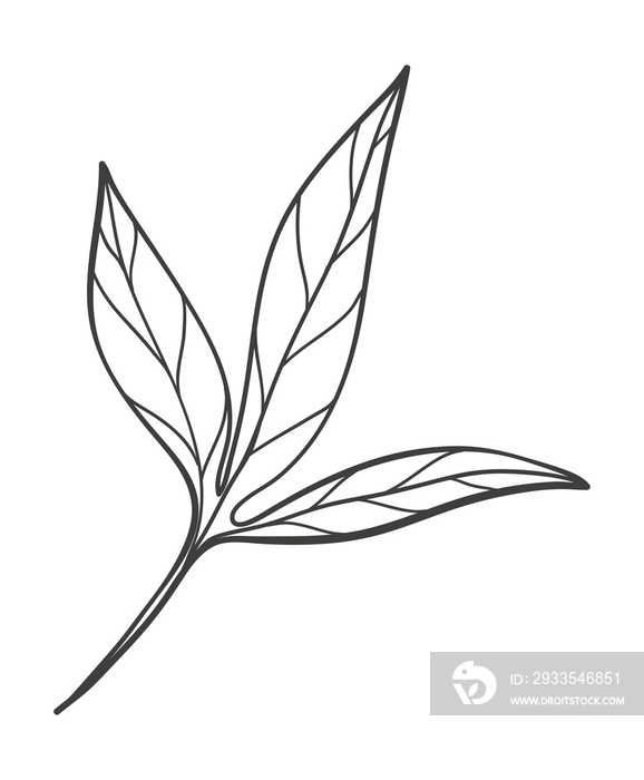 Spring leaf branch line art