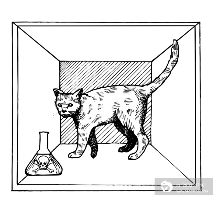 Shroedinger cat in box poison engraving PNG illustration with transparent background