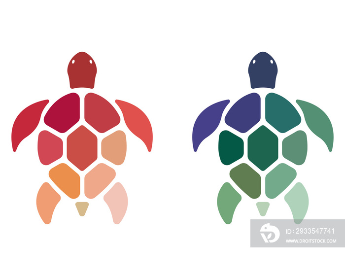 Two colorful turtles design isolated on transparent background. Wild Animals. Underwater Animal.