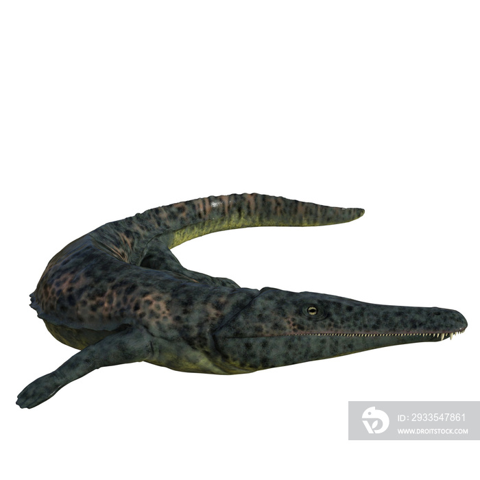 Archegosaurus isolated dinosaur 3d render