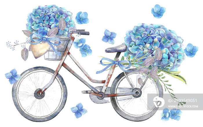 Watercolor floral illustration set - blue flowers, green leaf branches garden collection, for wedding stationary, greetings, wallpapers,  background. Hydrangea, Eucalyptus, leaves, bike, bicycle.