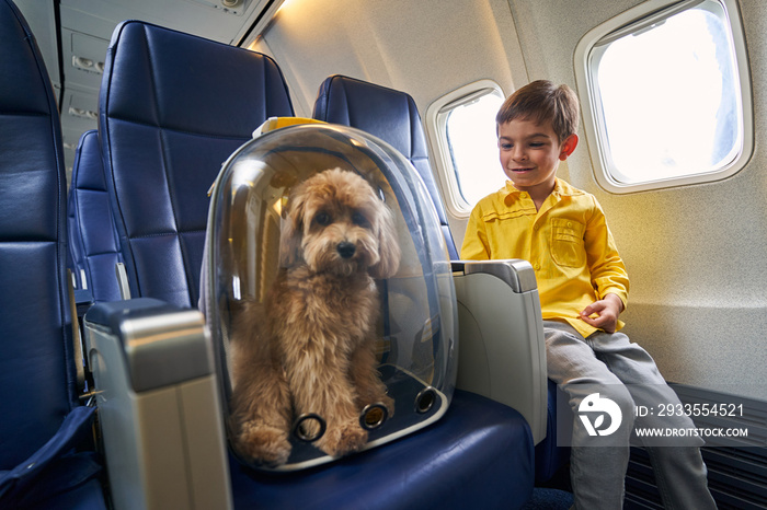 Pleased young traveler sitting with his dog aboard the plane