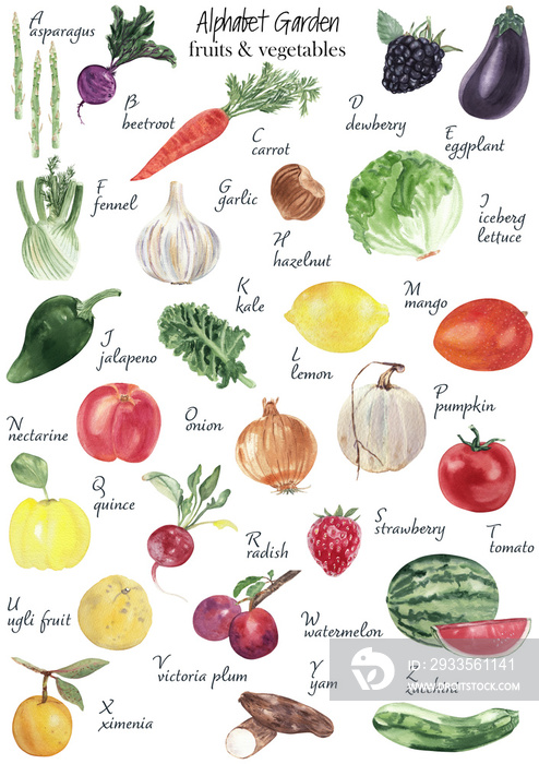 Watercolor vegetables and fruits alphabet Gardening alphabet Abc poster Nursery wall art, kids room decor. Food alphabet. Plants, fruits and veggies. Vegetarian alphabet. Educational classroom poster.