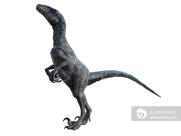 dinosaur velociraptor 3d render