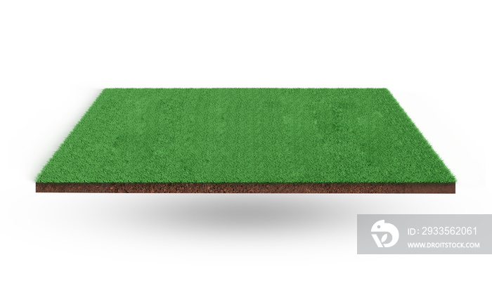 3d rendering of green grass field isolated