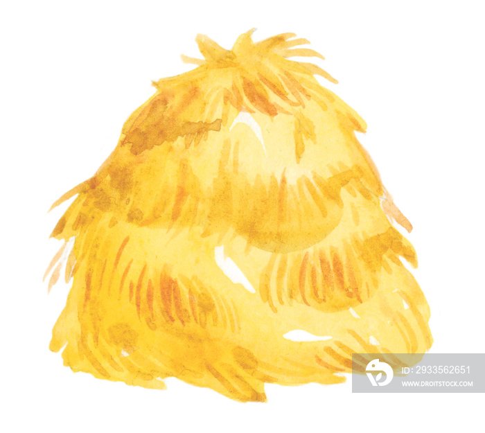 Watercolor illustration of yellow hay and straw. Hand-drawn illustration isolated on the white background