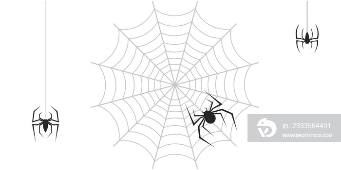 Spiders and web overlay halloween spooky transparent