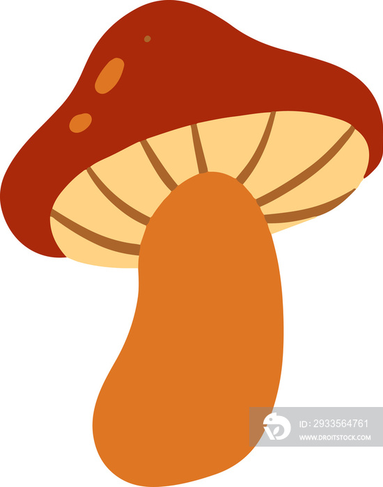 Cute mushroom Illustration for design element