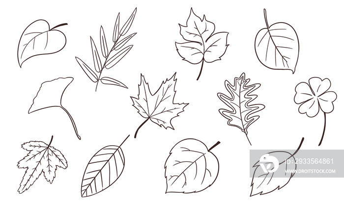 leaf elements