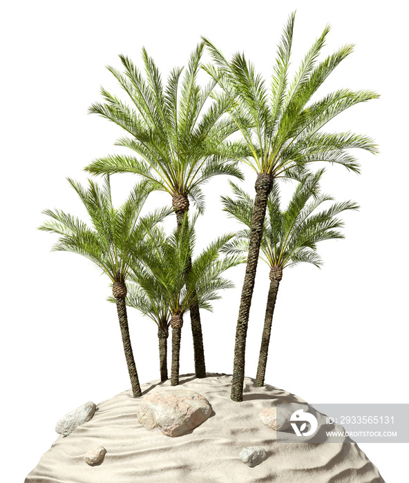 Conceptual realistic palm trees group on desert cutout backgrounds 3d rendering png