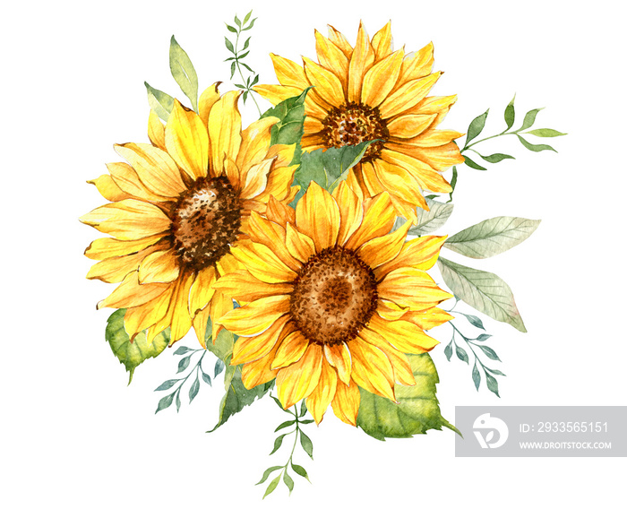 Watercolor sunflowers bouquet, hand painted sunflower bouquets with greenery, sunfower flower arrangement. Wedding invitation clipart elements. Watercolor floral. Botanical Drawing. White background.