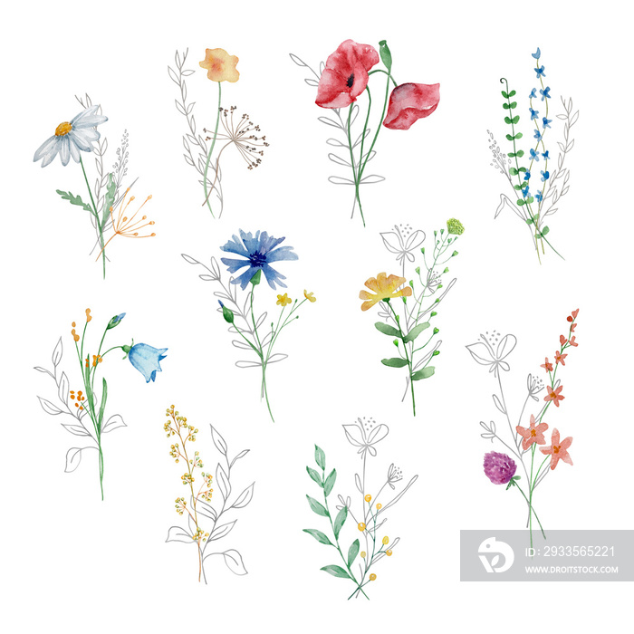 Watercolor bouquet of wildflowers, illustration for cards