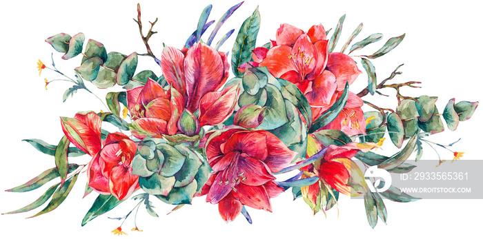 Watercolor red flowers bouquet, Amaryllis, eucalyptus, tropical leaves and succulents, botanical natural vintage illustration transparent png