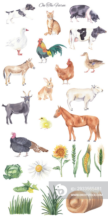 Watercolor farm animals and botanical elements isolated on white background. Sheep, goat, turkey, donkey, chicken, chick, horse, rabbit. Domestic animals. Watercolor clipart