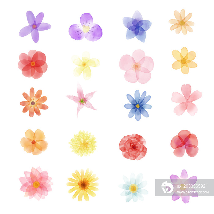 Beautiful Flowers watercolor set illustration.Hand draw colorful floral