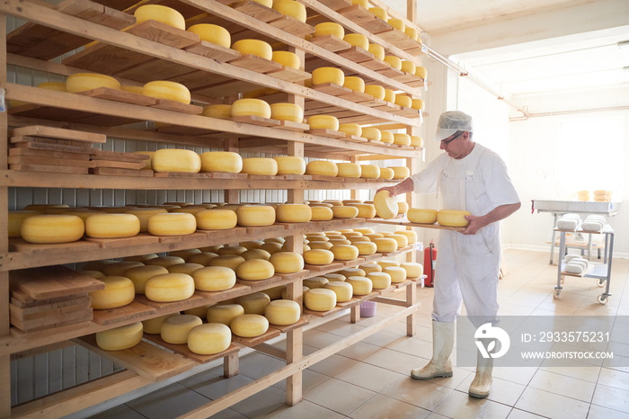 Cheese maker at the storage with shelves full of cow and goat cheese