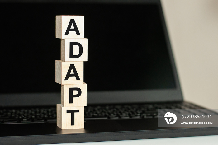 adapt word made with building blocks on the black keyboard. A row of wooden cubes with a word written in black font is located on a black keyboard.