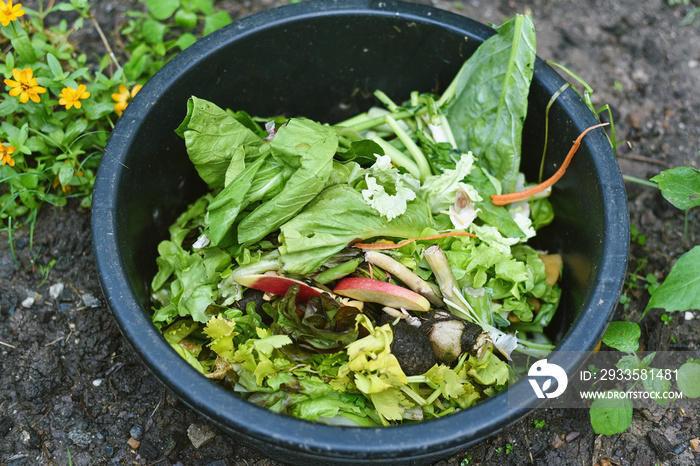 Food waste composting to bio fertilizer, Kitchen waste management at home to reduce garbage problems.