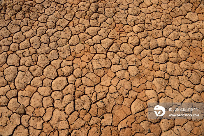 Salt Pan surface cracking under the extreme severe heat of the Kalahari Desert