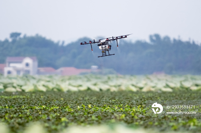 agriculture drone sprayed fertilizer