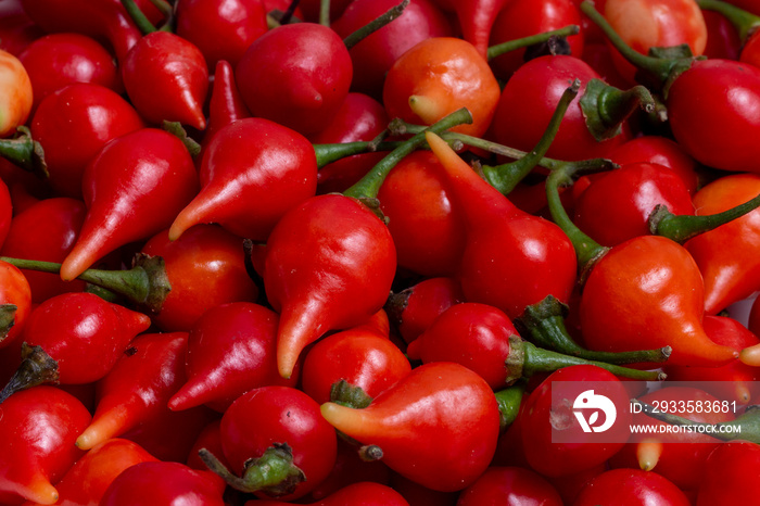 Chili peppers called biquinho in a bowl